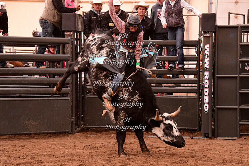 _DSC3605 - 2021 Flying B Youth Bull Riding Series Finals