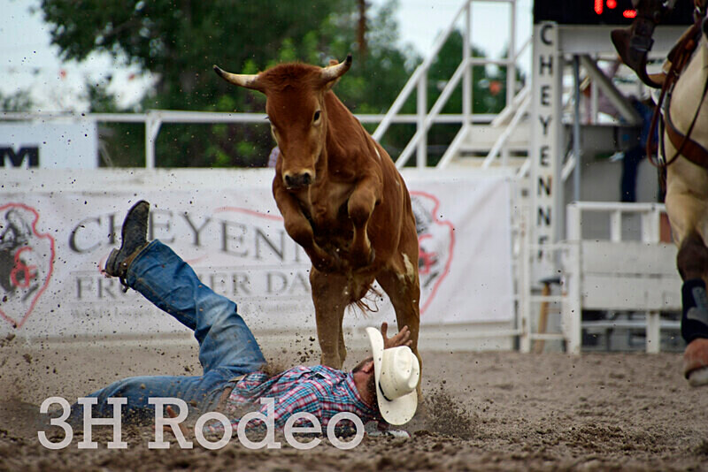 _DSC7014 - CFD Rodeo Performance - July 28th