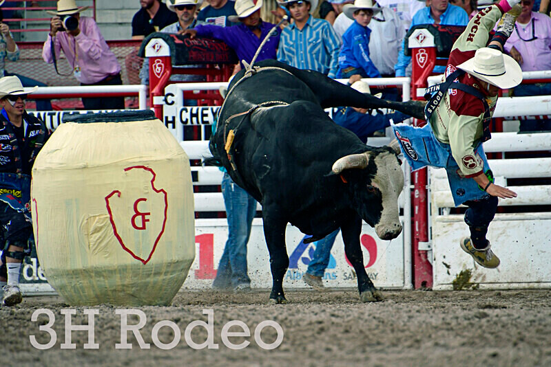 _DSC8678 - CFD Rodeo Performance - July 27th