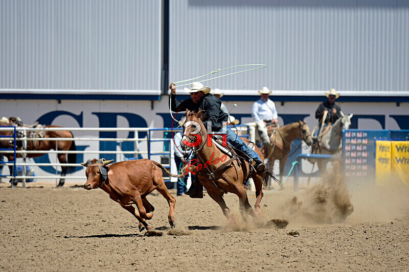 3HRodeo8-11-25_PRCASteer_04575_ - 2025 Colorado Stand Alone Steer Roping-Greeley