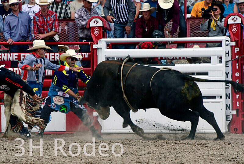 _DSC2029 - CFD Rodeo Performance - July 22nd