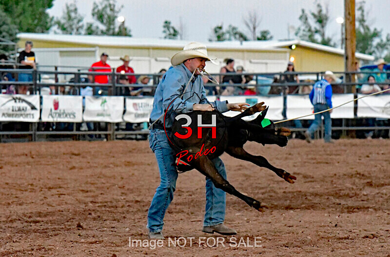 3HRodeo7-12-24_LJD_3HR4601_LJD - PRCA Rodeo - July 12, 2024