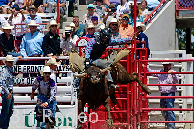 _DSC4596 - CFD Rodeo Performance - July 23rd