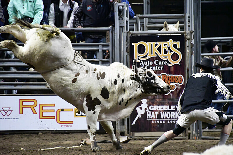 Bullfighter_DSC1819 - Extreme Rodeo Challenge