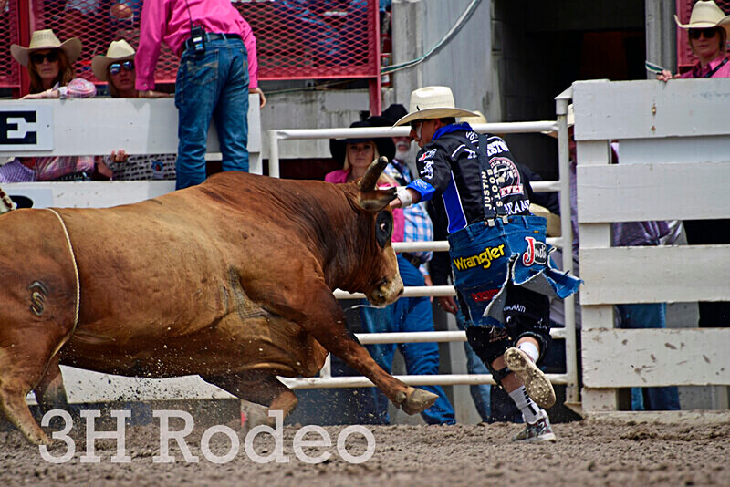 _DSC3892 - CFD Rodeo Performance - July 28th