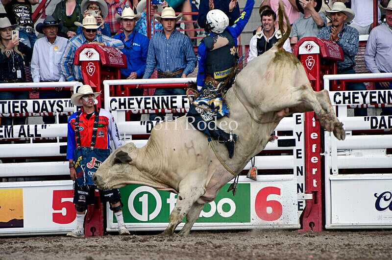 _DSC8165 - Championship Sunday Rodeo Perf - July 30th