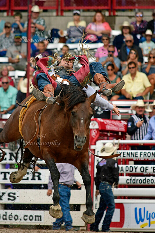 _DSC8699 - 2019 Cheyenne Frontier Days