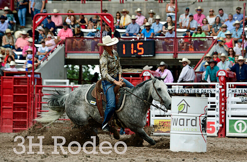 _DSC7607 - CFD Rodeo Performance - July 28th