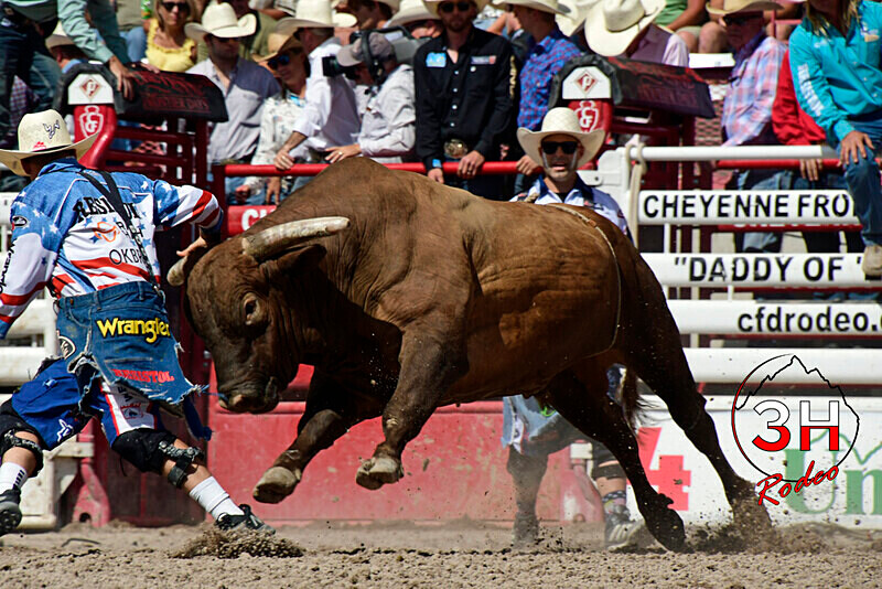 _DSC2513 - CFD Rodeo Performance - July 25th