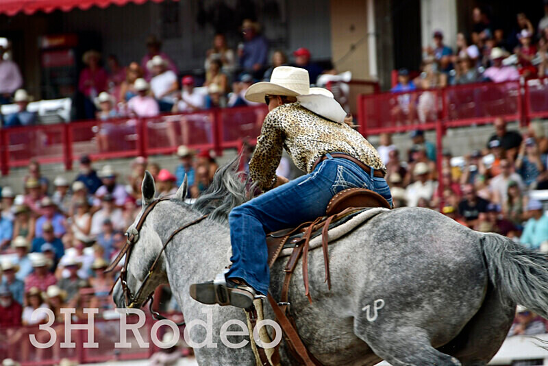 _DSC7625 - CFD Rodeo Performance - July 27th