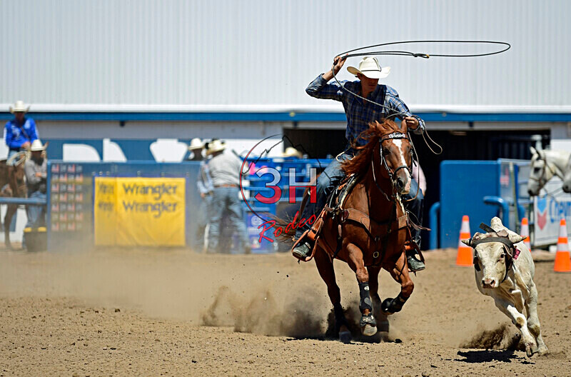 3HRodeo8-11-25_PRCASteer_05764_ - 2025 Colorado Stand Alone Steer Roping-Greeley