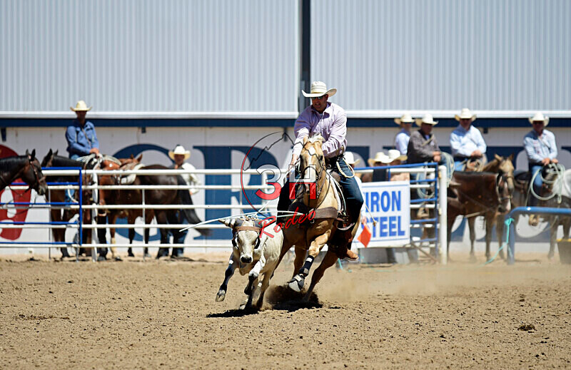3HRodeo8-11-25_PRCASteer_04838_ - 2025 Colorado Stand Alone Steer Roping-Greeley