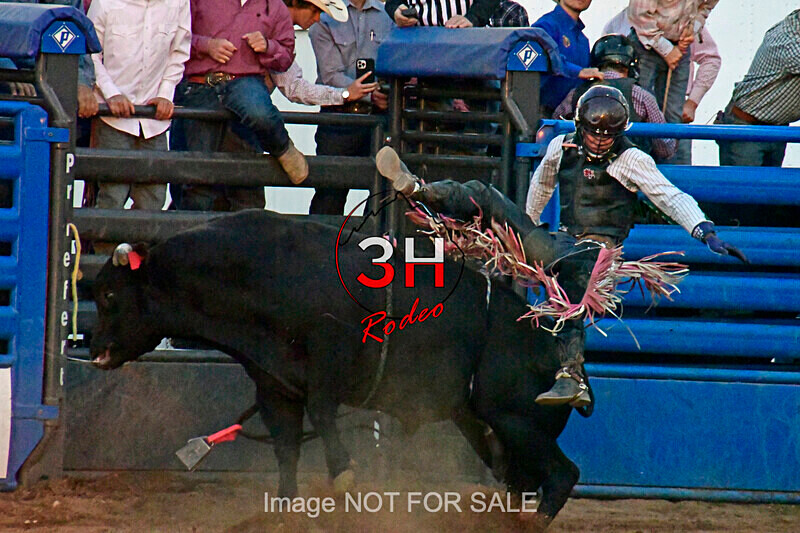 3HRodeo7-11-24_LJD_3HR2080_LJD - Mr. T Xtreme Bull Riding