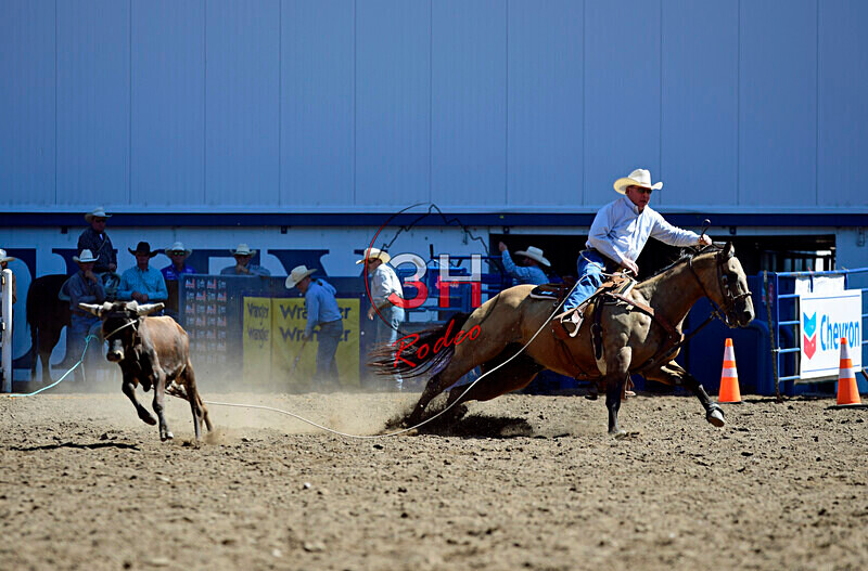3HRodeo8-11-25_PRCASteer_01129_ - 2025 Colorado Stand Alone Steer Roping-Greeley