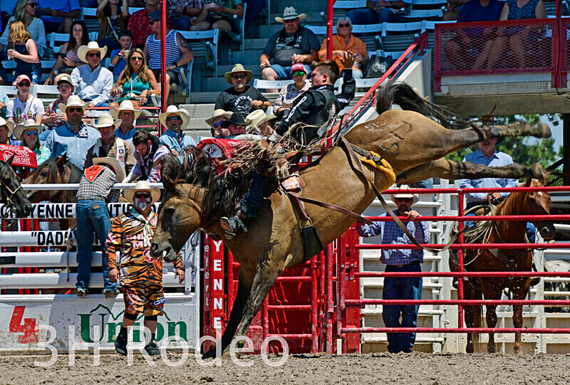 _DSC5564 - CFD Rodeo Performance - July 22nd