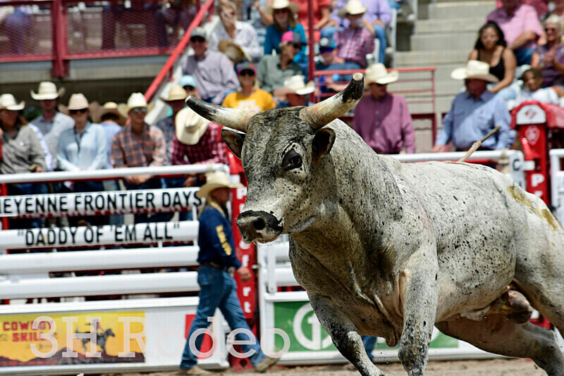 _DSC7030 - CFD Rodeo Performance - July 25th