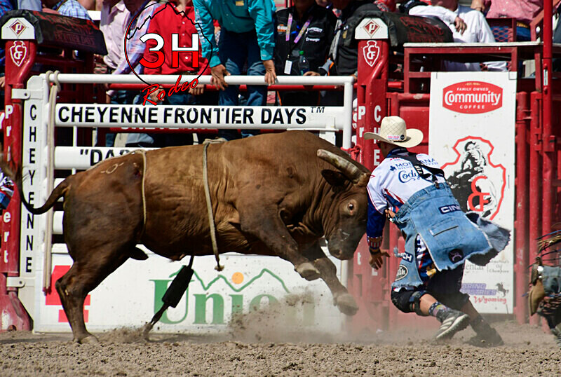 _DSC2482 - CFD Rodeo Performance - July 25th
