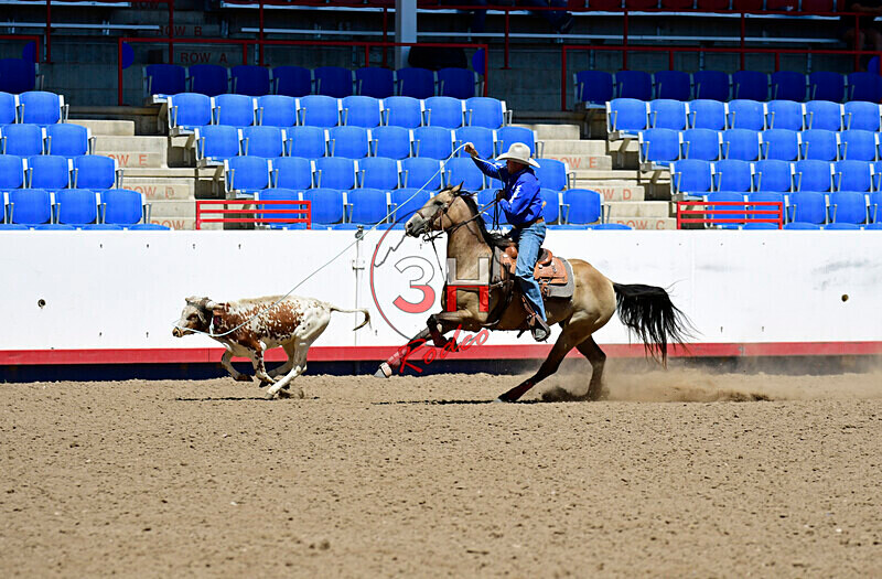 3HRodeo8-11-25_PRCASteer_03877_ - 2025 Colorado Stand Alone Steer Roping-Greeley