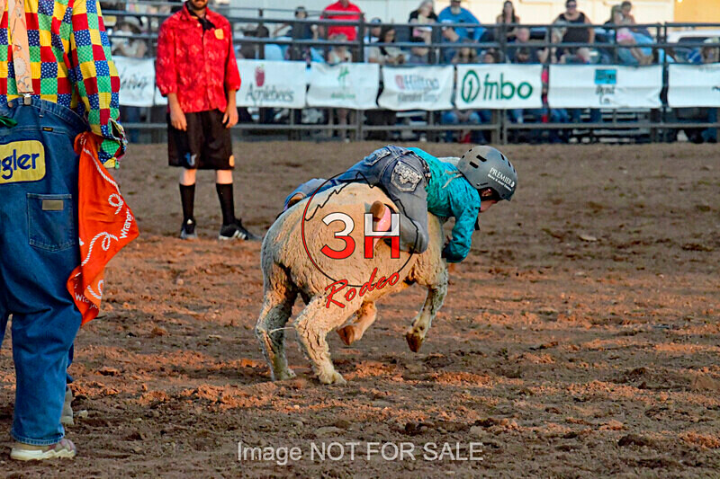 3HRodeo7-12-24_LJD_3HR4332_LJD - PRCA Rodeo - July 12, 2024