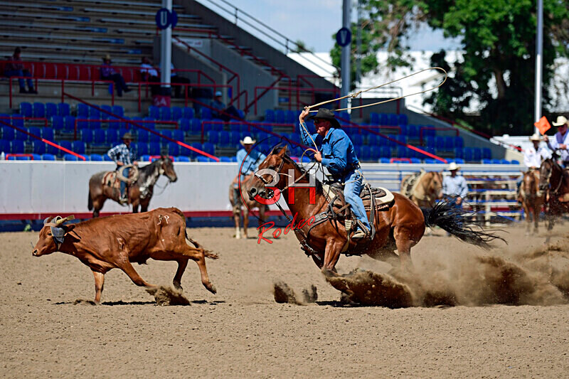 3HRodeo8-11-25_PRCASteer_06988_ - 2025 Colorado Stand Alone Steer Roping-Greeley