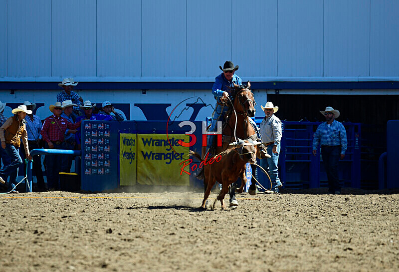 3HRodeo8-11-25_PRCASteer_01728_ - 2025 Colorado Stand Alone Steer Roping-Greeley