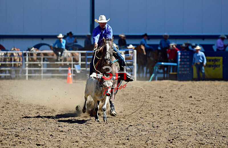 3HRodeo8-11-25_PRCASteer_01979_ - 2025 Colorado Stand Alone Steer Roping-Greeley