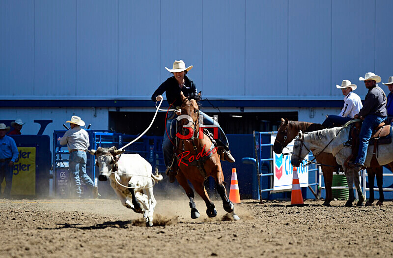 3HRodeo8-11-25_PRCASteer_01827_ - 2025 Colorado Stand Alone Steer Roping-Greeley