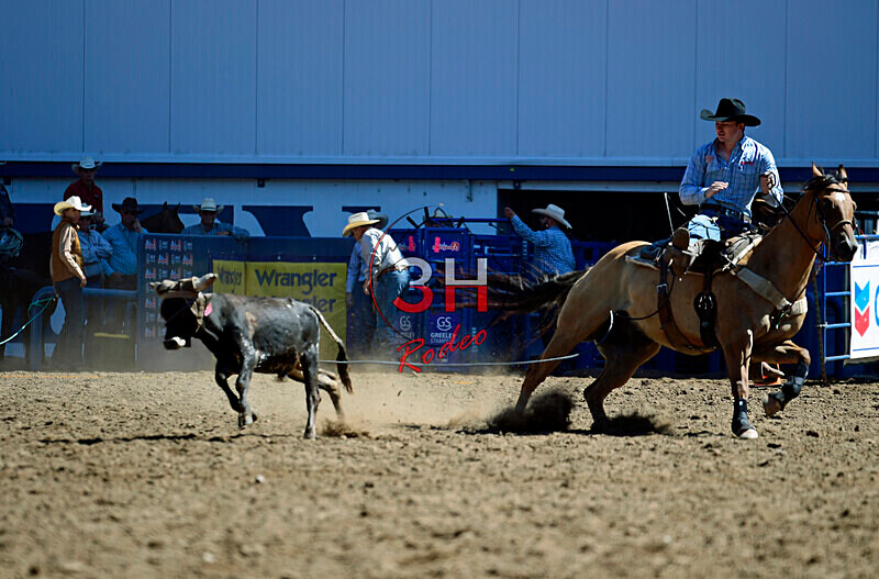 3HRodeo8-11-25_PRCASteer_00904_ - 2025 Colorado Stand Alone Steer Roping-Greeley