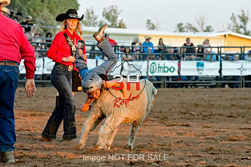 3HRodeo7-12-24_LJD_3HR4339_LJD - PRCA Rodeo - July 12, 2024