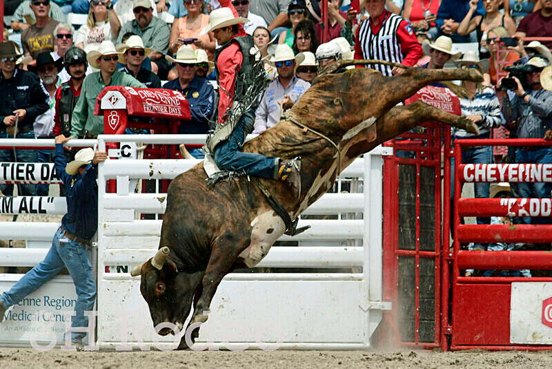 _DSC7266 - CFD Rodeo Performance - July 25th