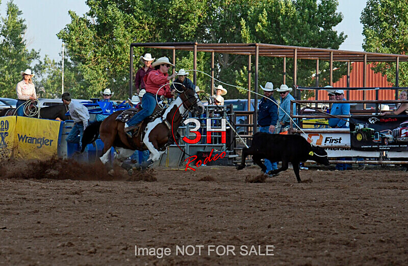 3HRodeo7-12-24_LJD_3HR3778_LJD - PRCA Rodeo - July 12, 2024