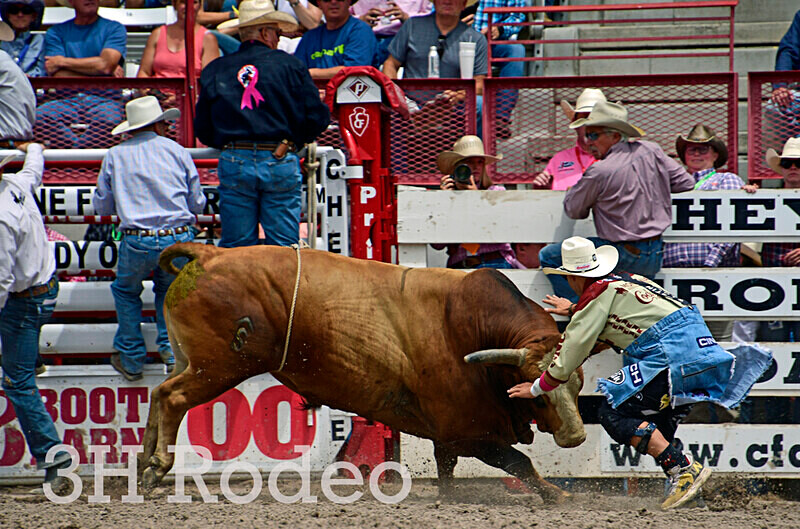 _DSC3877 - CFD Rodeo Performance - July 27th