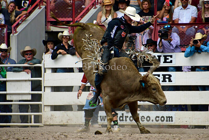 KyHamilton_0221 - CFD Rodeo Performance - July 29th