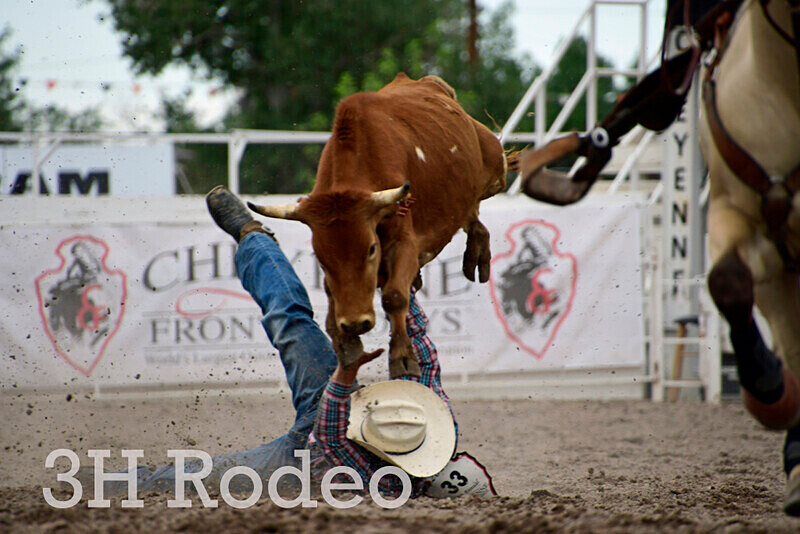_DSC7017 - CFD Rodeo Performance - July 27th