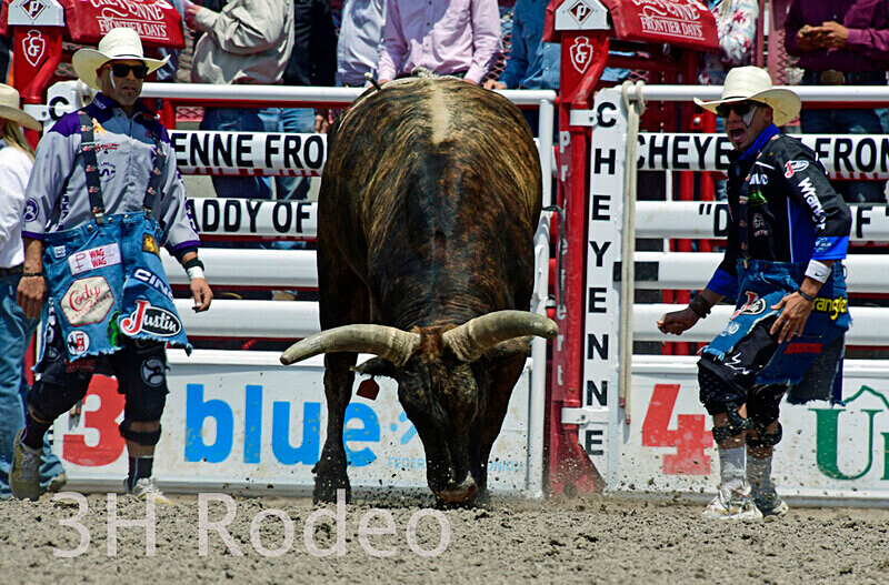 _DSC4324 - CFD Rodeo Performance - July 23rd