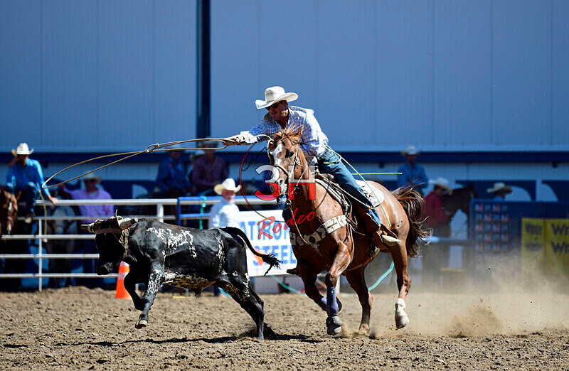 3HRodeo8-11-25_PRCASteer_01415_ - 2025 Colorado Stand Alone Steer Roping-Greeley