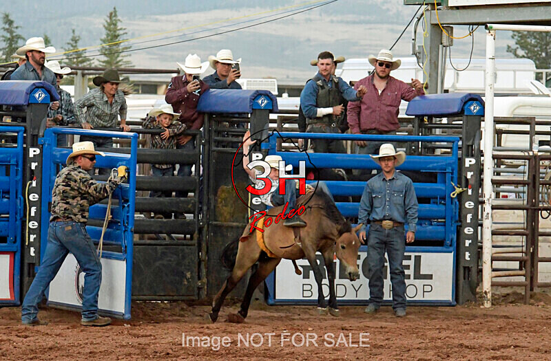 3HRodeo7-11-24_LJD_3HR1903_LJD - Mr. T Xtreme Bull Riding