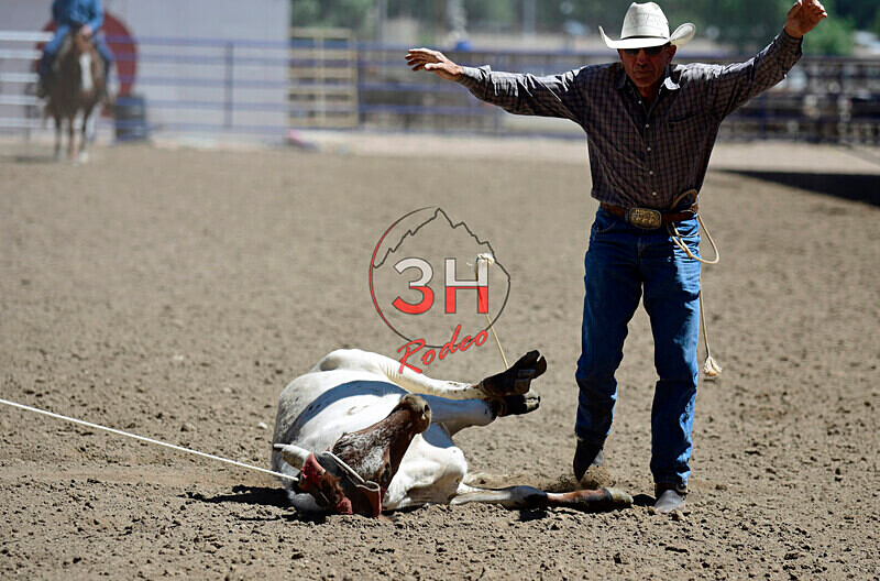 3HRodeo8-11-25_PRCASteer_03747_ - 2025 Colorado Stand Alone Steer Roping-Greeley