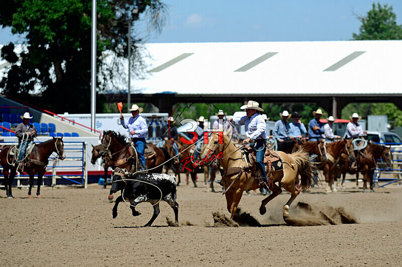 3HRodeo8-11-25_PRCASteer_05876_ - 2025 Colorado Stand Alone Steer Roping-Greeley