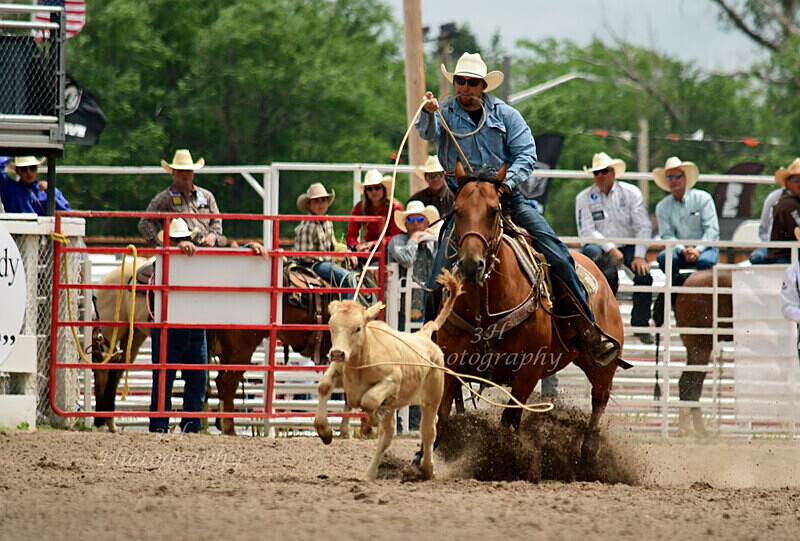 _DSC1603 - 2019 Cheyenne Frontier Days