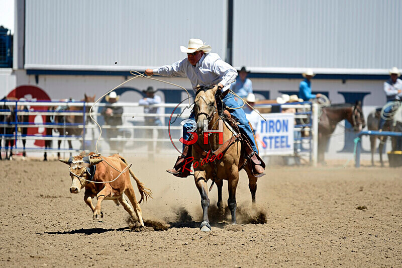 3HRodeo8-11-25_PRCASteer_04987_ - 2025 Colorado Stand Alone Steer Roping-Greeley
