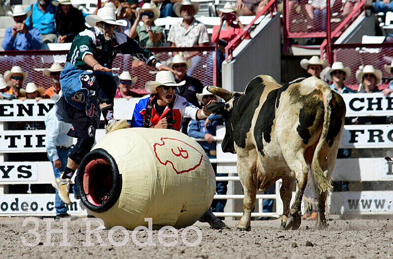 _DSC1267 - CFD Rodeo Performance - July 25th