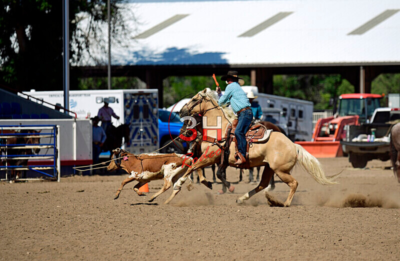 3HRodeo8-11-25_PRCASteer_07714_ - 2025 Colorado Stand Alone Steer Roping-Greeley