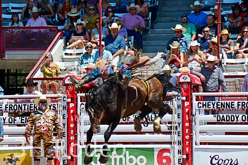 _DSC5780 - CFD Rodeo Performance - July 22nd