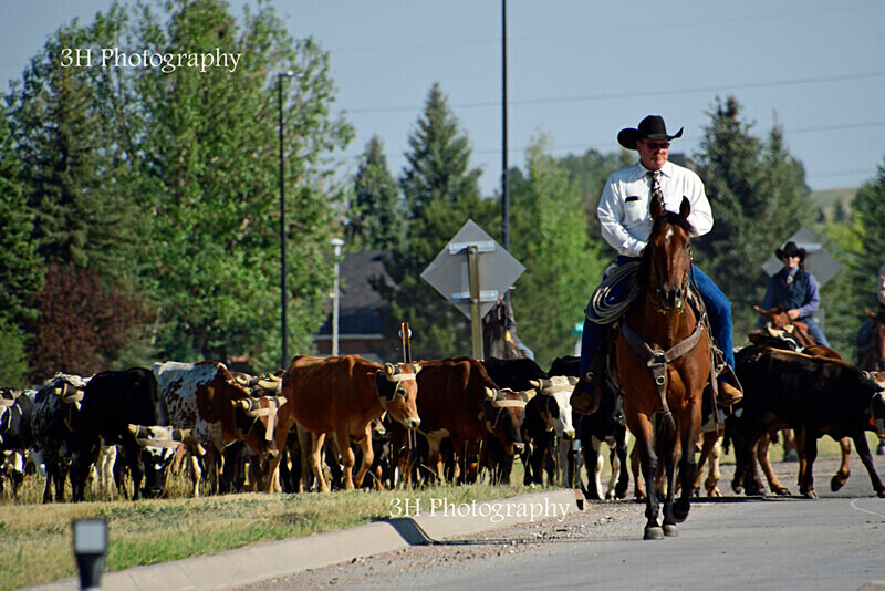 _DSC9000 - 2021 Cheyenne Frontier Days Celebration