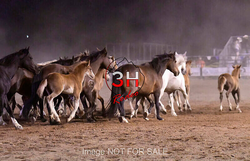 3HRodeo7-12-24_LJD_3HR5318_LJD - PRCA Rodeo - July 12, 2024