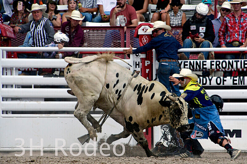 _DSC1898 - CFD Rodeo Performance - July 22nd