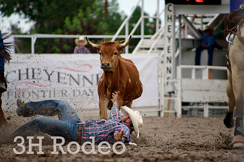 _DSC7011 - CFD Rodeo Performance - July 27th
