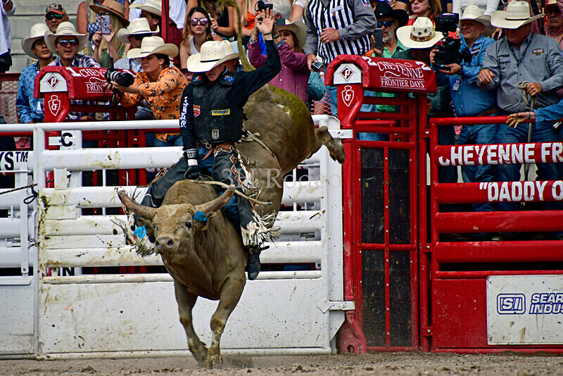 KyHamilton_0181 - CFD Rodeo Performance - July 29th