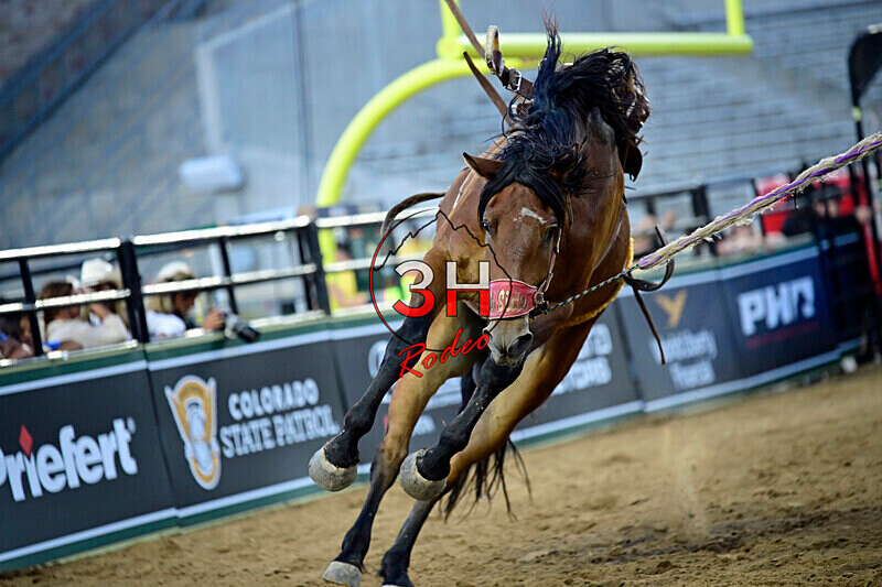 3HRodeo_PBR_All-Star_JUL_2026_0745 - 2026 All-Star College Rodeo